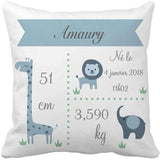 Coussin personnalisé Amaury